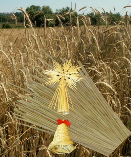 obilná stébla - slámky, 27 až 37cm, 200 ks